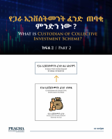 What is a CSD Custodian_.pdf